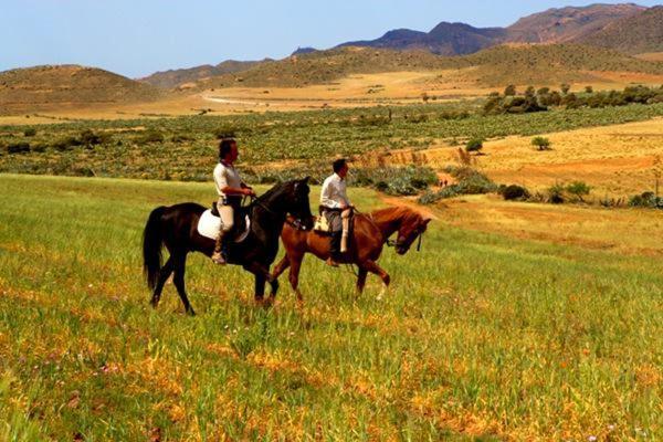 Casa Appaloosa Cabo De Gata Daire Rodalquilar Dış mekan fotoğraf